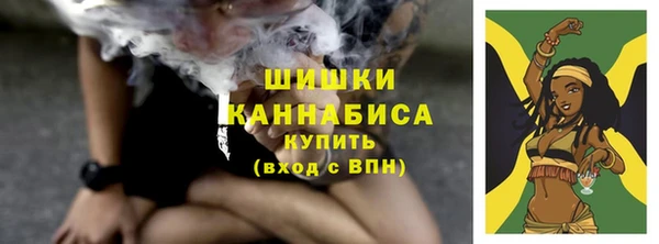бошки Козельск