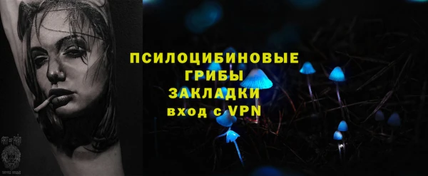 spice Козловка