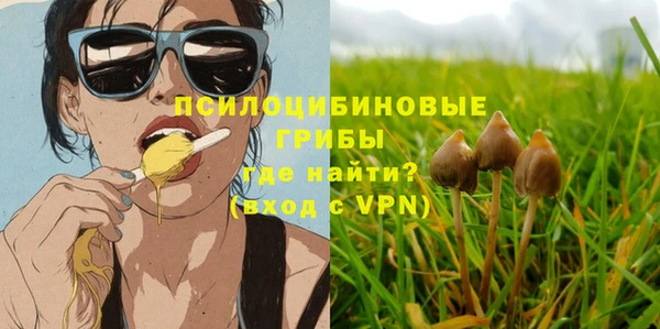 бошки Козельск