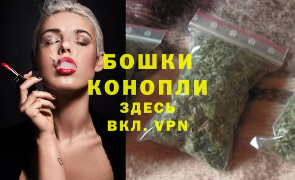 бошки Козельск