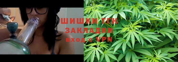 бошки Козельск