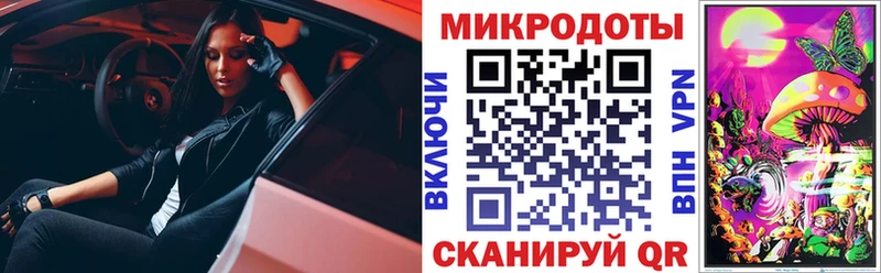Купить где  Кяхта  Галлюциногенные грибы мицелий 